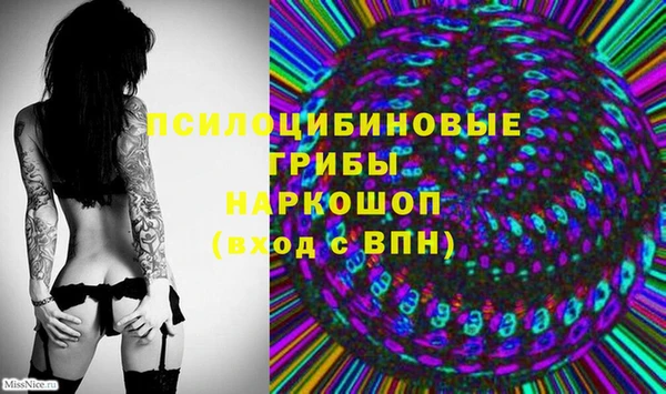 молекула духа Надым
