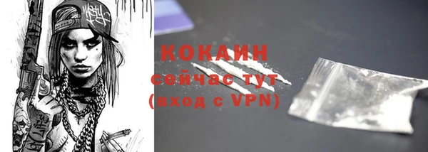 гидра Михайловск