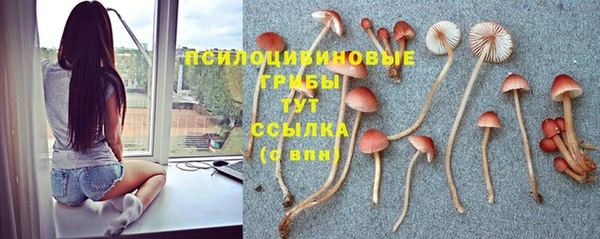 молекула духа Надым