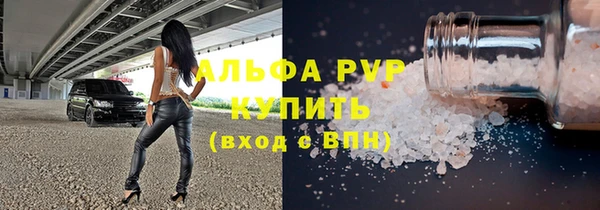 молекула духа Надым