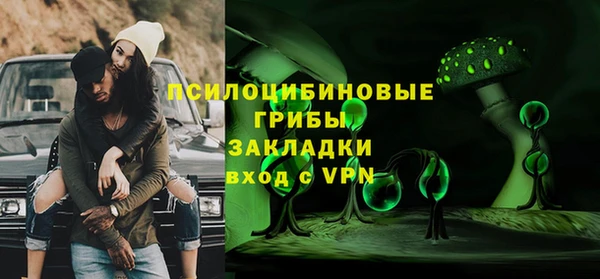 сатива Михайлов