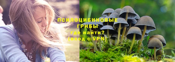 сатива Михайлов
