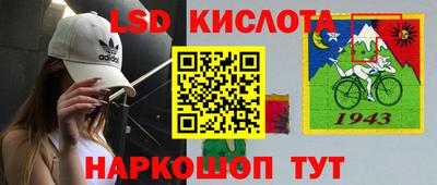 молекула духа Гатчина