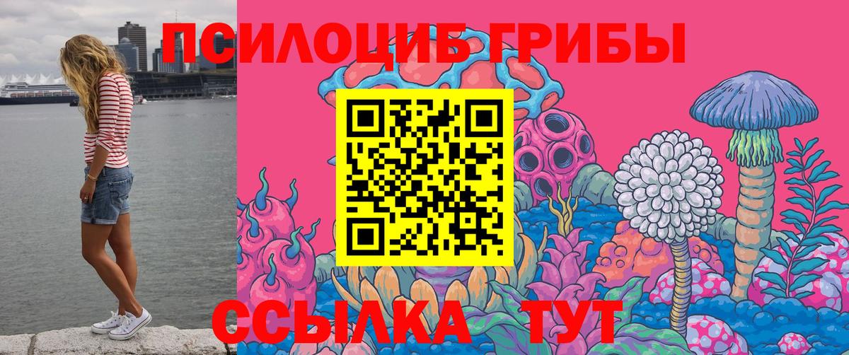 Галлюциногенные грибы Psilocybine cubensis  цена   Знаменск 