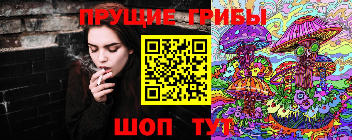 Галлюциногенные грибы Psilocybe Знаменск