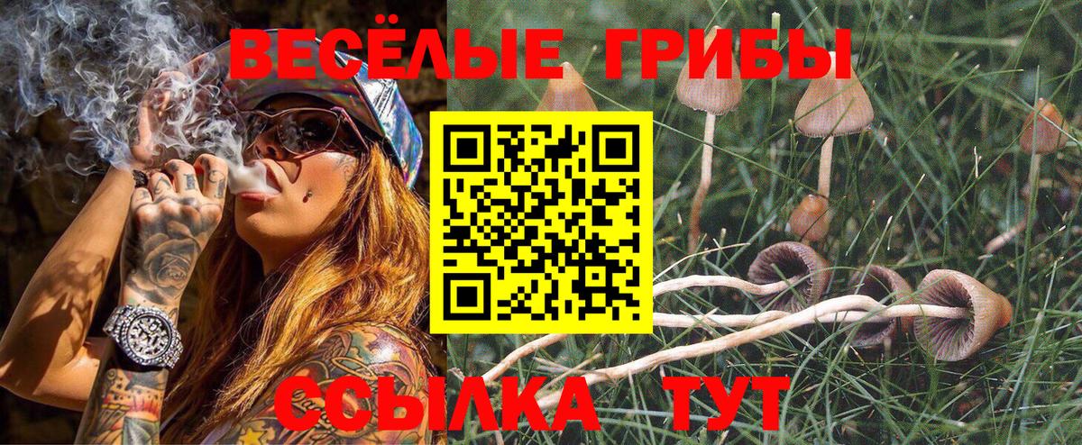 Галлюциногенные грибы прущие грибы Знаменск