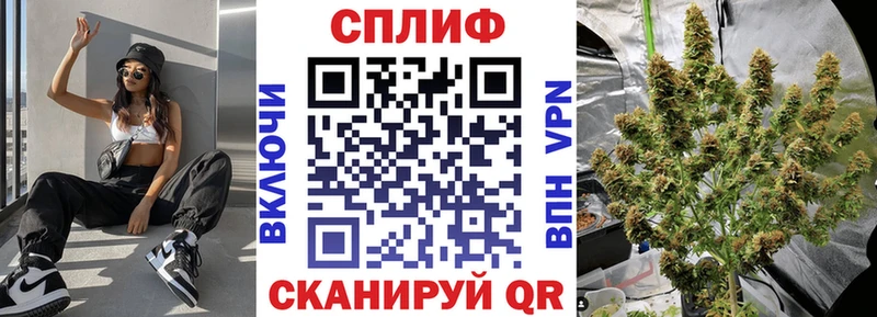 наркота  Знаменск  Шишки марихуана сатива 